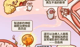 细胞漫画,微观世界的奇妙之旅