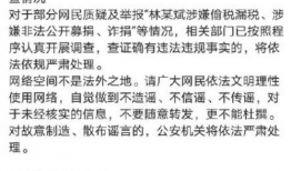 吃瓜娱乐圈玄学小说,娱乐圈的玄学传奇